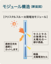 モジュール構造（断面図）