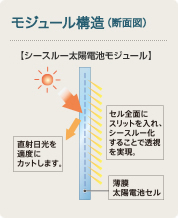 モジュール構造（断面図）