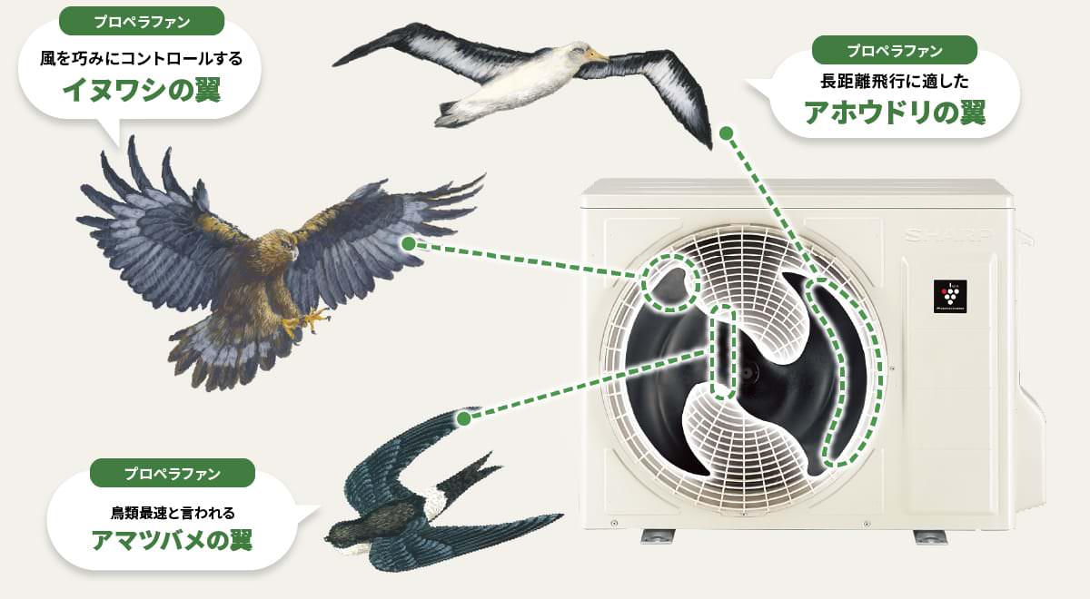 プロペラファンには、風を巧みにコントロールするイヌワシの翼、長距離飛行に適したアホウドリの翼、鳥類最速と言われるアマツバメの翼が採用されています