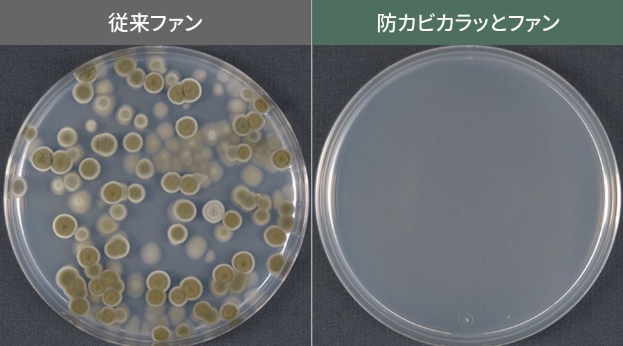 従来ファンと防カビカラッとファンのカビ発生比較写真