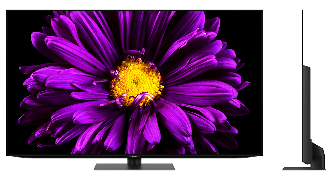 深い黒と鮮やかな色彩を表現する「有機ELパネル」