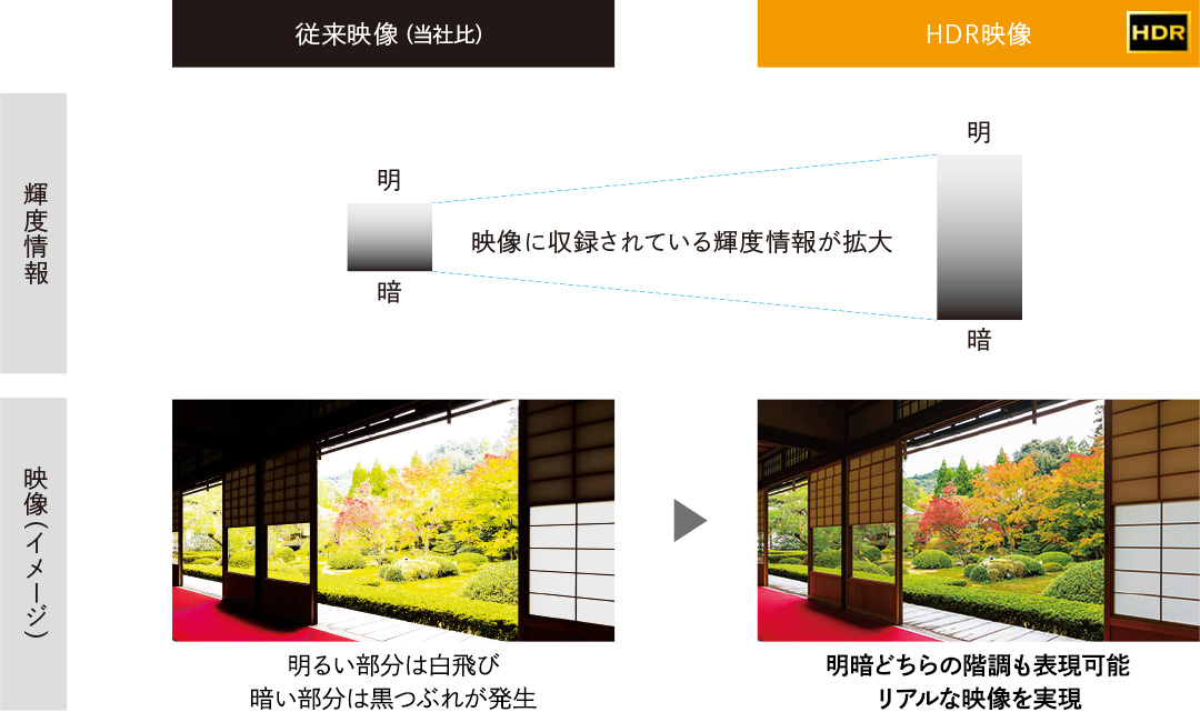 HDR映像は従来映像に比べ、映像に収録されている輝度情報が拡大。明暗どちらの階調も表現可能で、リアルな映像を実現します