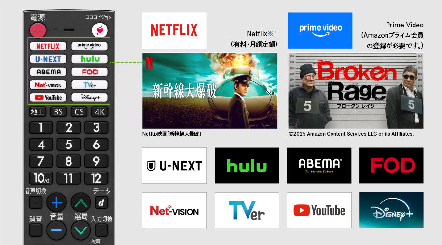 ワンボタンでインターネット動画が楽しめる、アプリダイレクトボタン