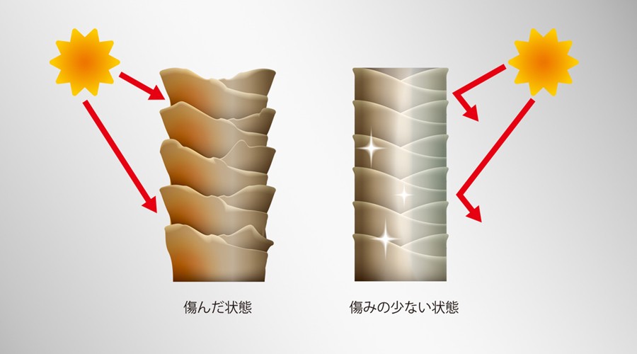 傷んだ髪と傷みの少ない状態の髪では、紫外線からのダメージが異なる