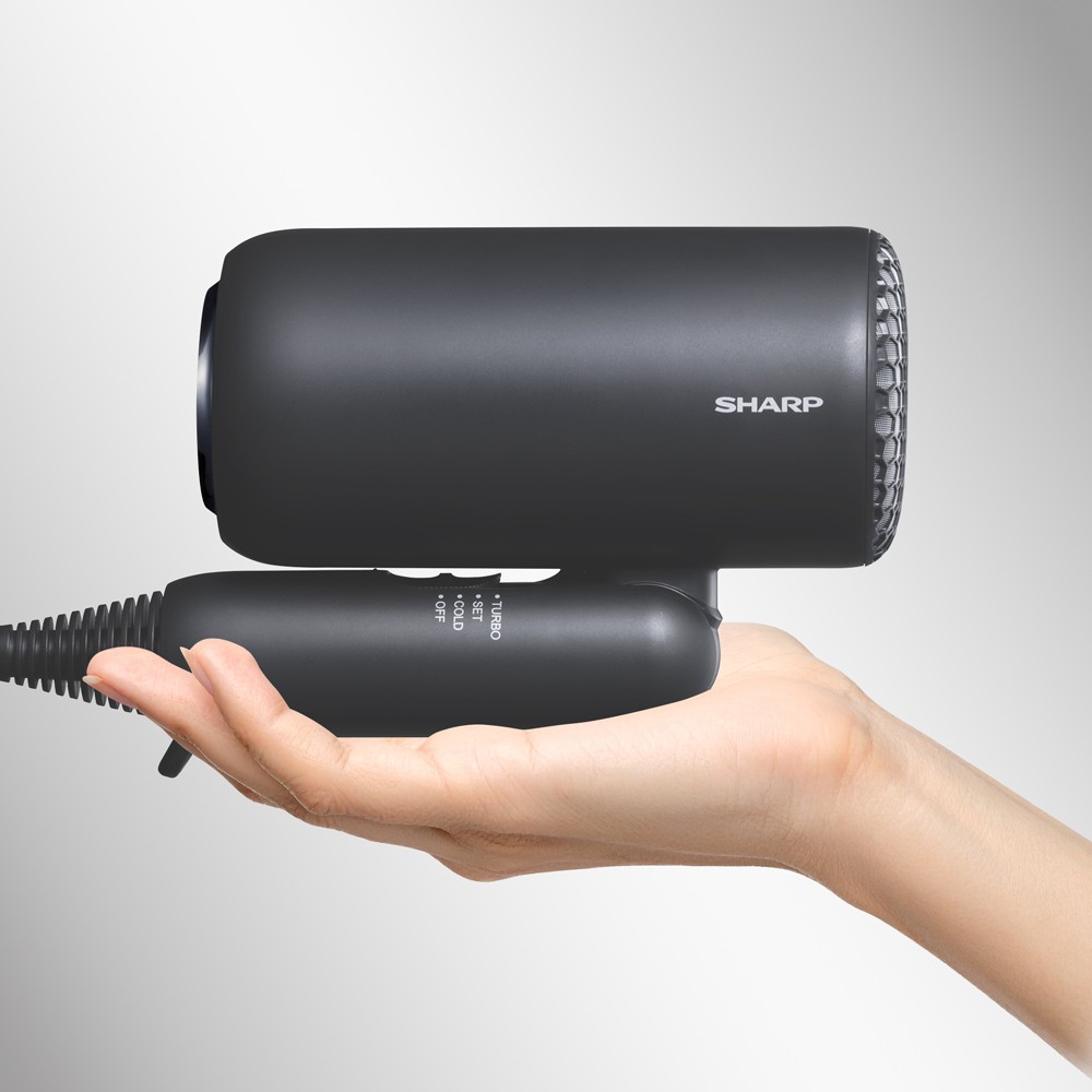 手のひらに収まる