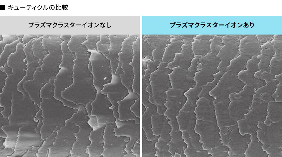 プラズマクラスターイオン有無による、キューティクルの引き締め効果比較イメージ