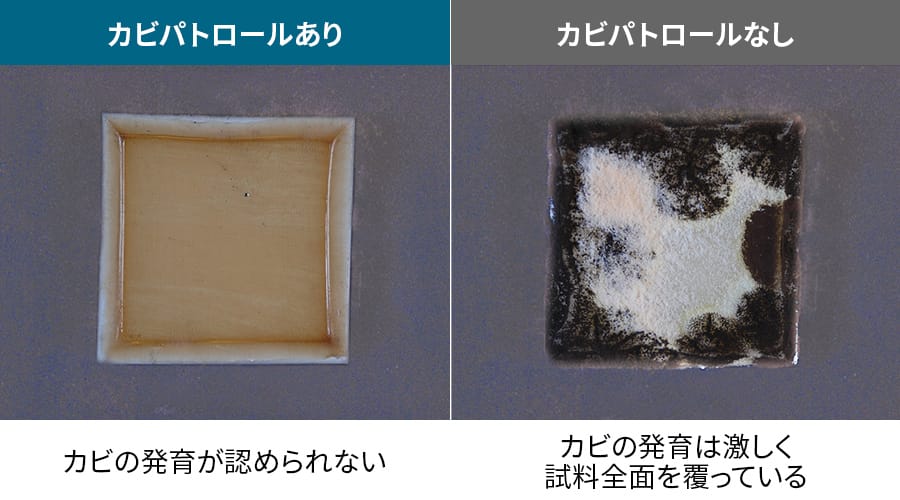 カビパトロールあり、となしの比較イメージ。カビパトロールがある場合、カビの発育が認められない。なしの場合、カビの発育が激しい