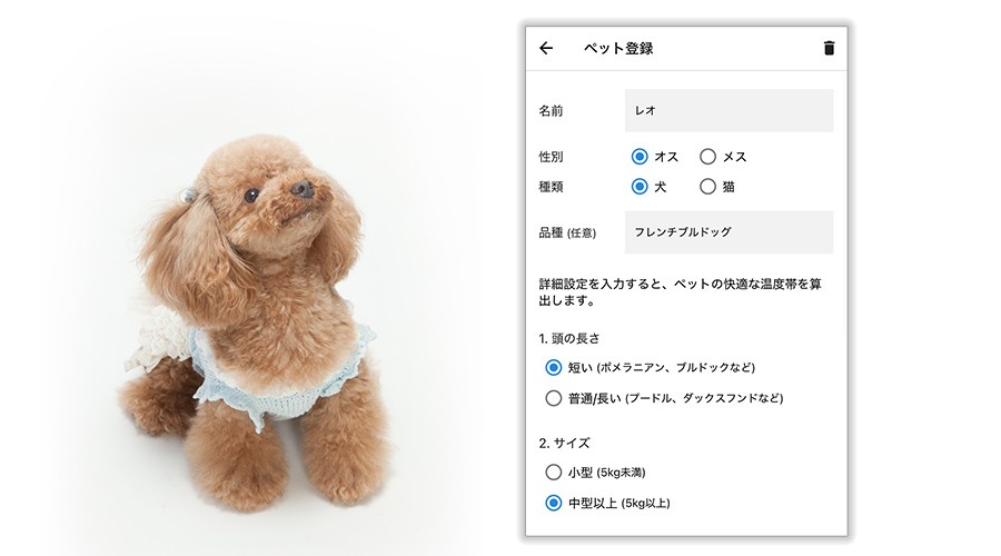 アプリからペットの情報を登録しているイメージ