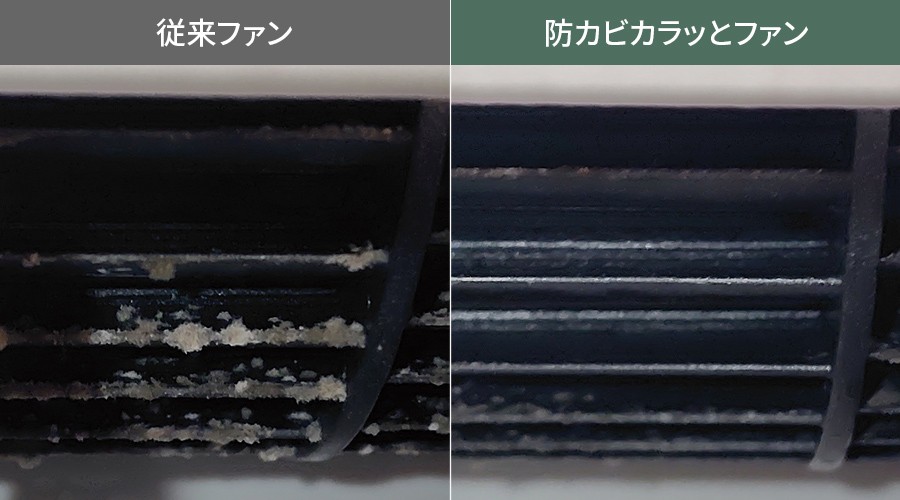 従来ファンと防カビカラッとファンのカビ発生比較写真