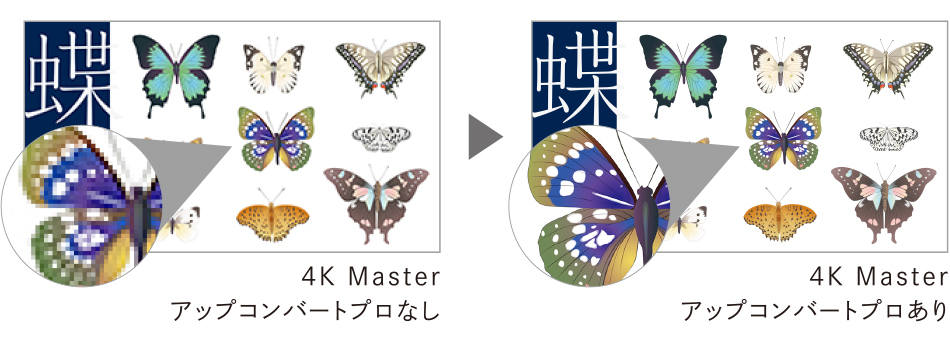 高精細「4K Master アップコンバートプロ」