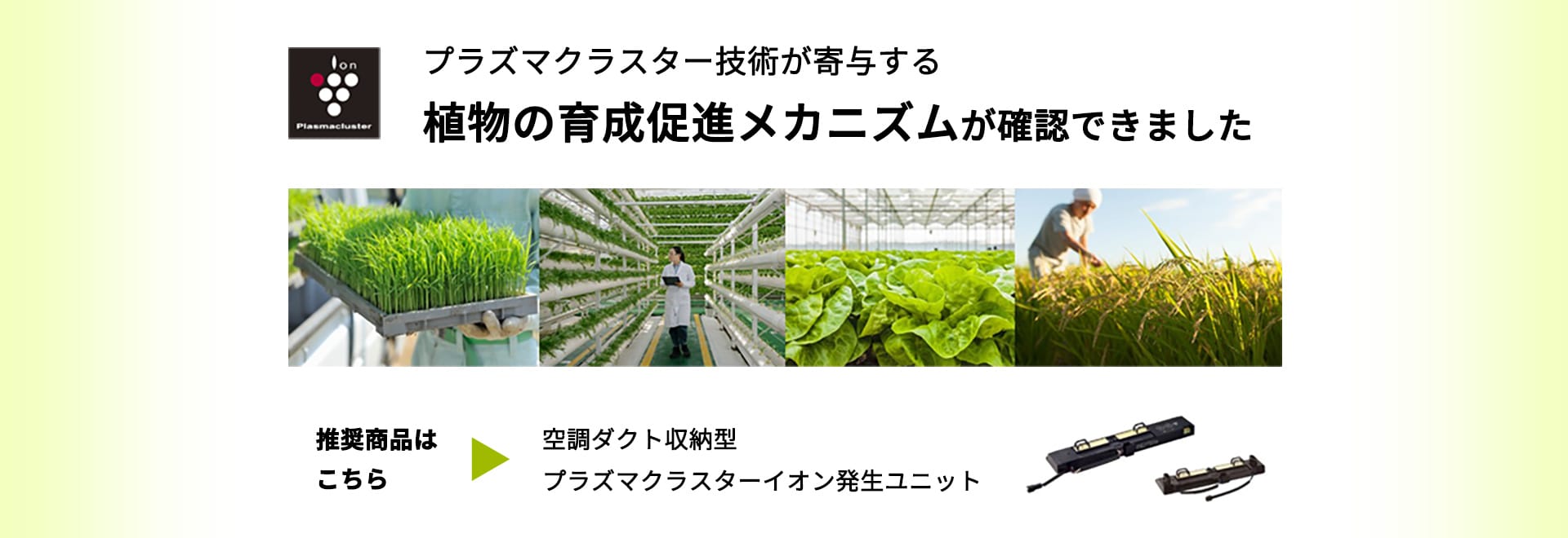 空調ダクト収納型プラズマクラスターイオン発生ユニットIG-002DC/IG-002DD。プラズマクラスター技術が寄与する植物の育成促進メカニズムが確認できました。