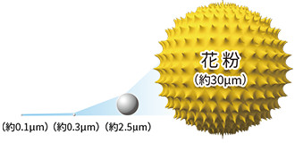 花粉イメージ