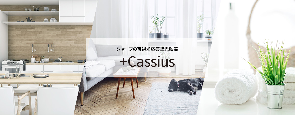 シャープの可視光応答型光触媒 +Cassius
