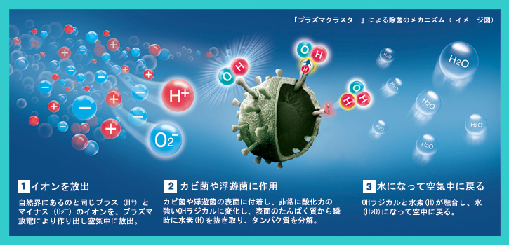 「プラズマクラスター」による除菌のメカニズム（イメージ図）