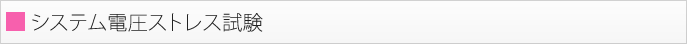 システム電圧ストレス試験