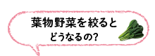 葉もの野菜を絞るとどうなるの？