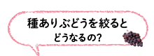 種ありぶどうを絞るとどうなるの？