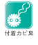 付着カビ臭