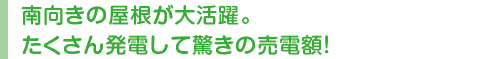 南向きの屋根が大活躍。たくさん発電して驚きの売電額！