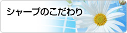 シャープのこだわり