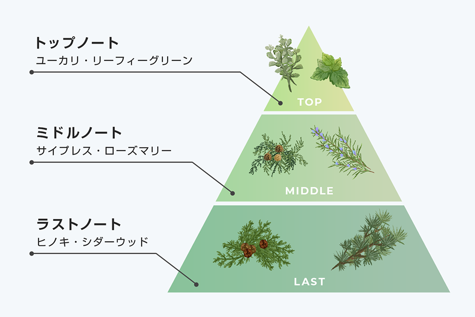 トップノート：ユーカリ・リーフィーグリーン ミドルノート：サイプレス・ローズマリー ラストノート：ヒノキ・シダーウッド