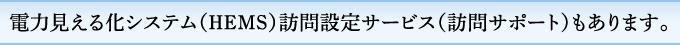 電力見える化システム（HEMS）訪問設定サービス（訪問サポート）もあります。