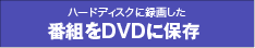 n[hfBXNɘ^悵ԑgDVDɕۑ