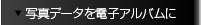 ʐ^f[^dqAo