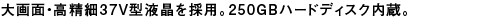 ʁE37V^t̗pB250GBn[hfBXNB