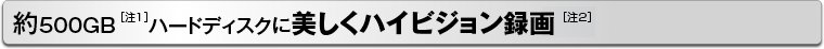 500GBm1nn[hfBXNɔnCrW^m2n