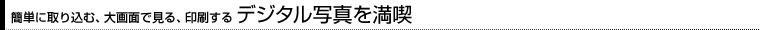 ȒPɎ荞ށAʂŌAfW^ʐ^𖞋i