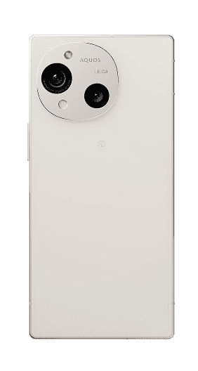 Cashmere White