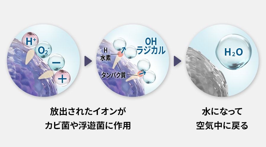 放出されたイオンがカビ菌や浮遊菌に作用し、水になって空気中に戻る