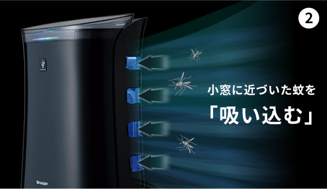 ステップ2:小窓に近づいた蚊を吸い込む