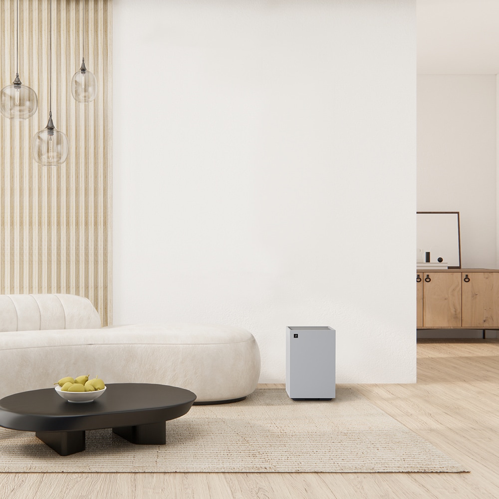 ホワイト系、リビングルーム設置イメージ