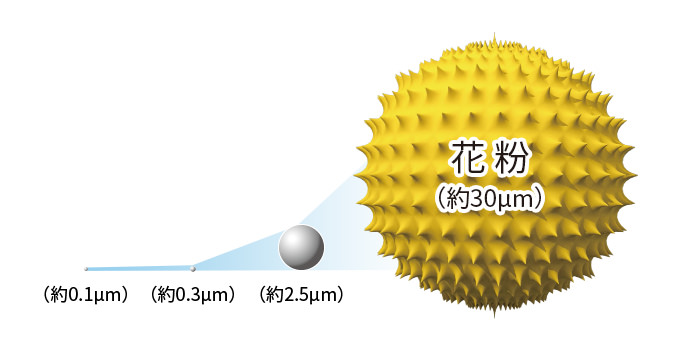 粒子の大きさイメージ、花粉は約30マイクロメートル