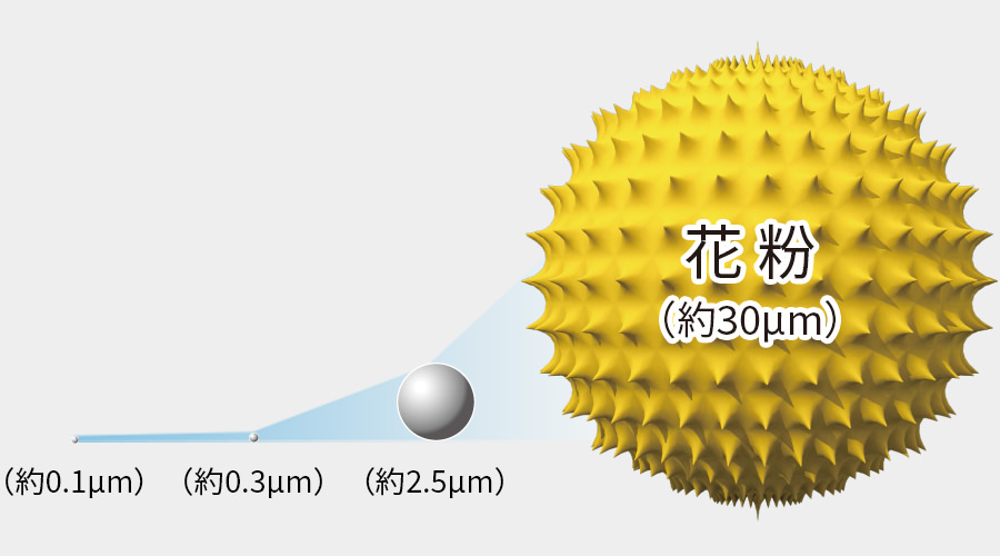 粒子の大きさイメージ、花粉は約30マイクロメートル