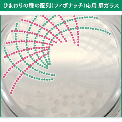 ひまわりの種の配列応用 扉ガラス