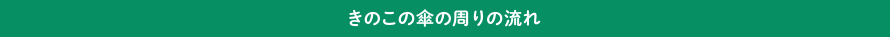 きのこ傘の周りの流れ