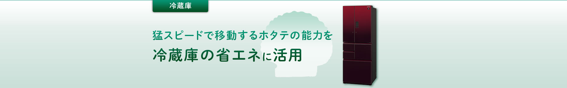 冷蔵庫：イオン濃度を高める鍵はテントウムシの飛翔能力