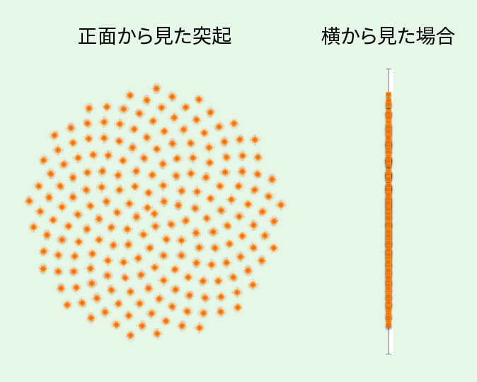 正面から見た突起と横から見た場合のフィボナッチ配列イメージ