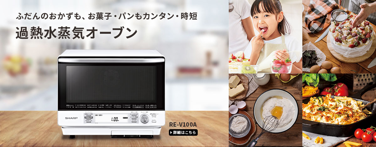 高性能ハイグレードモデルRE-F31A