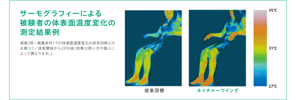 サーモグラフィーによる被験者の体表面温度変化の測定結果例