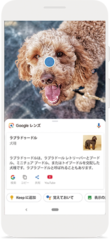 Google レンズ