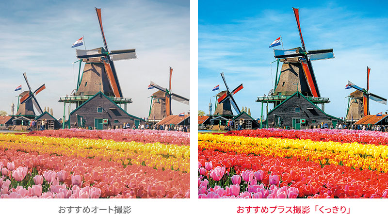 おすすめプラス