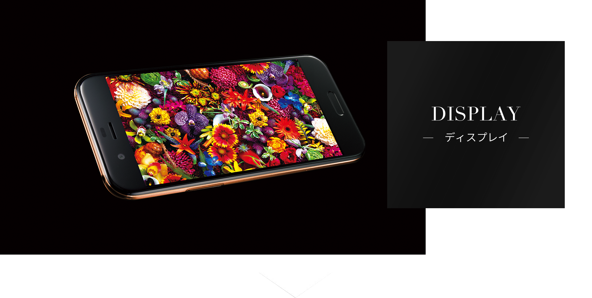 ディスプレイ