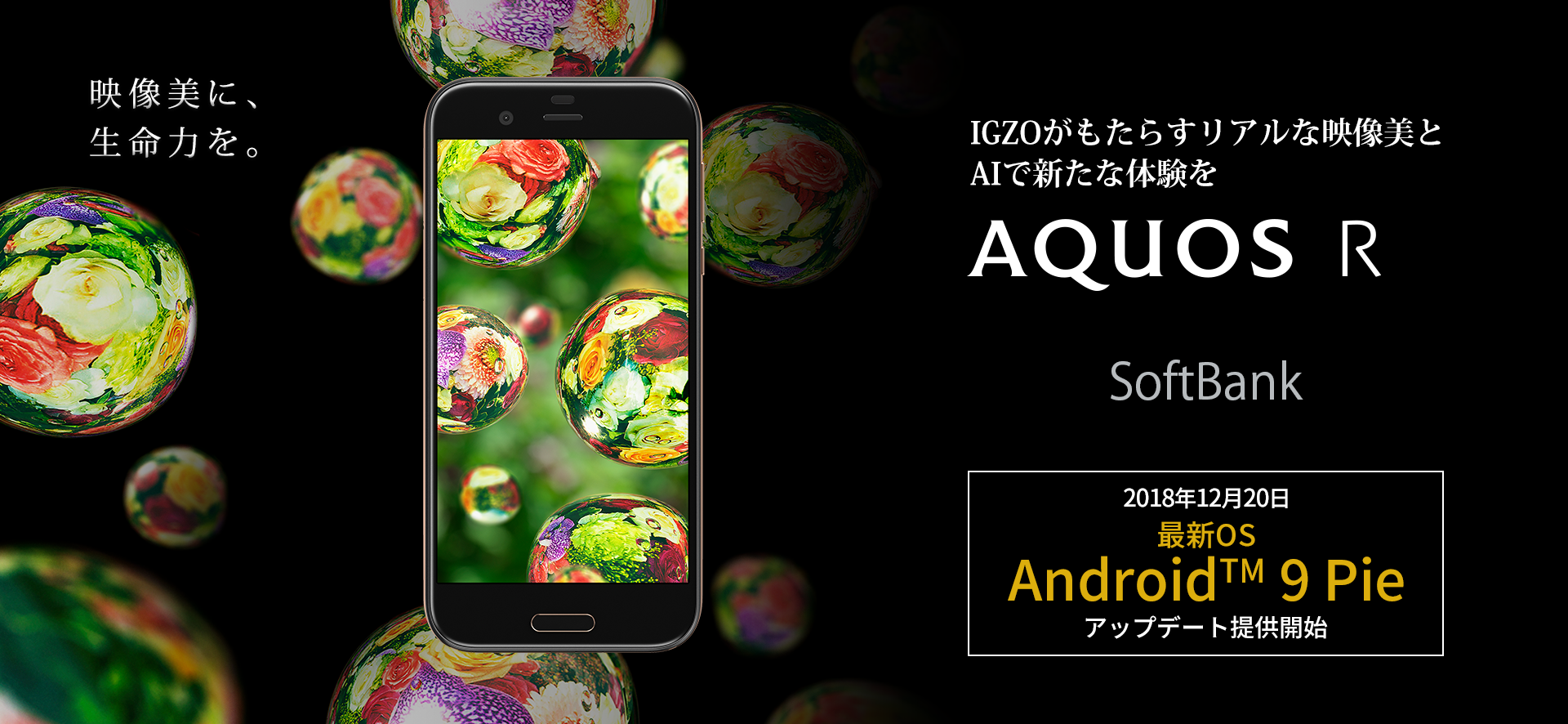 AQUOS R