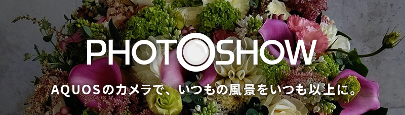 PHOTOSHOW