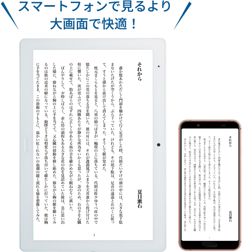スマートフォンで見るより大画面で快適！