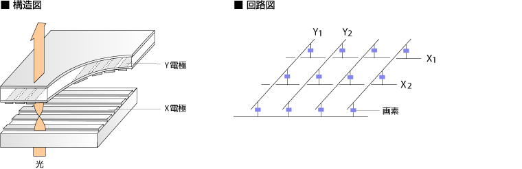 P}gbNX쓮̍\